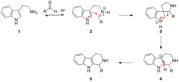 The mechanism of the Pictet–Spengler reaction