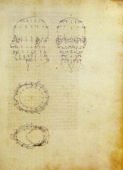 Piero, proiezioni di una testa scorciata dal de prospectiva pingendi, ante 1482, milano, biblioteca ambrosiana.jpg