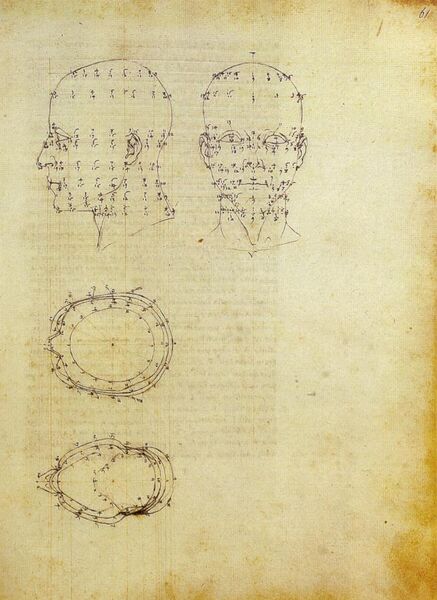 File:Piero, proiezioni di una testa scorciata dal de prospectiva pingendi, ante 1482, milano, biblioteca ambrosiana.jpg