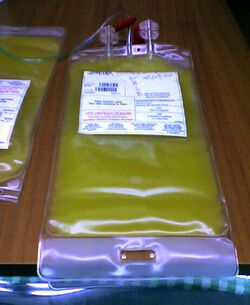 Platelet blood bag.jpg