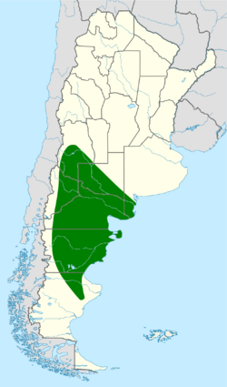 Pseudasthenes patagonica map.svg