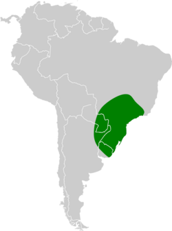 Pseudoleistes guirahuro map.svg