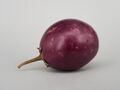 Ratna eggplant 2017 A2.jpg
