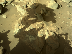 The “Brac” rock target in Jezero crater on Mars.png