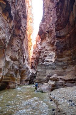 Wadi Mujib Siq Trail.jpg