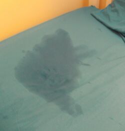 Wet bed again.jpg