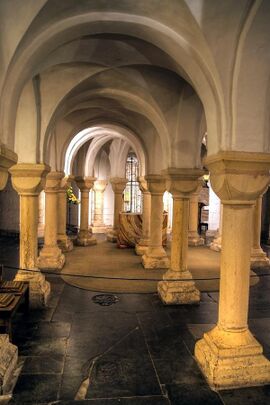 An interior view of a low space with a vaulted roof supported on many simple columns.