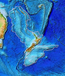Zealandia topography.jpg