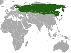 Eurasian Least Shrew area.png