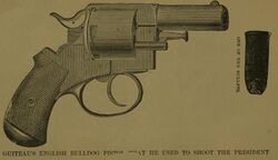 Guiteau's pistol.jpg