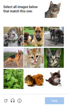 Images Recaptcha.png