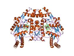 PDB 1rs8 EBI.jpg