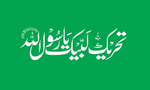 Tehreek-e-Labbaik flag.png