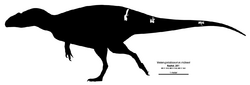 Veterupristisaurus Skeletal Diagram.png