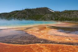 Yellowstone - asessions.jpg