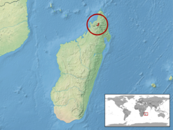 Brookesia lolontany distribution.png