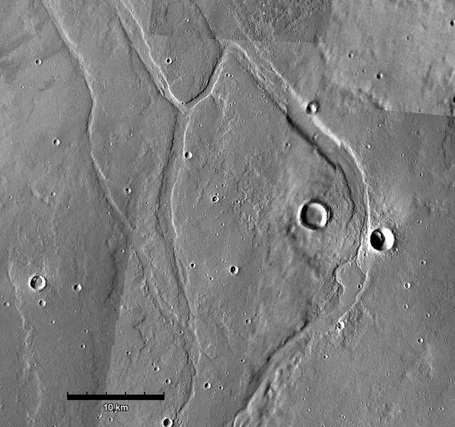 File:Enipeus anabranches.jpg