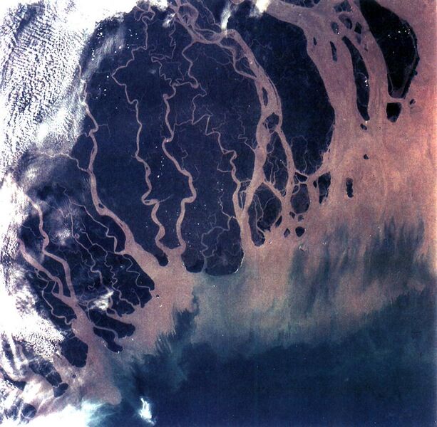 File:Ganges River Delta, Bangladesh, India.jpg