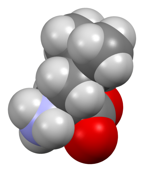 File:Leucine-from-xtal-3D-sf.png