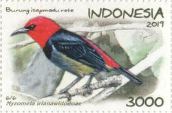 Myzomela irianawidodoae 2019 stamp of Indonesia.jpg