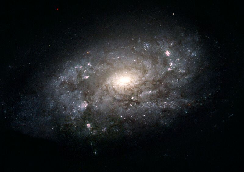 File:NGC 3949.jpg