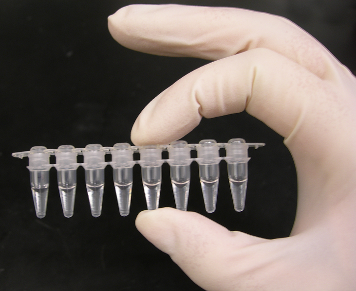 File:PCR tubes.png