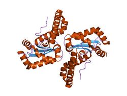 PDB 1pm9 EBI.jpg