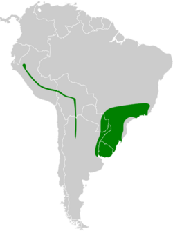 Phylloscartes ventralis map.svg