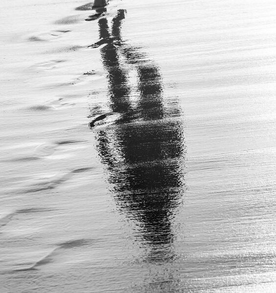 File:Walking reflection.jpg