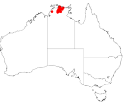 Acacia lacertensisDistMap502.png