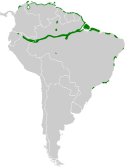 Conirostrum bicolor map.svg