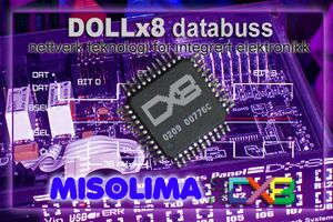 DOLLx8 network.jpg
