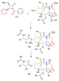 Final bruice-export.svg