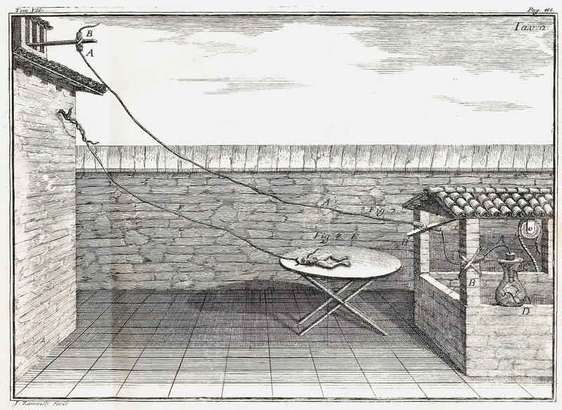 File:Galvani frog legs experiment setup.png