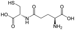 Gamma-Glutamylcysteine.svg