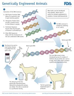 Genetically Engineered Animals (23533118540).jpg