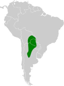 Knipolegus striaticeps map.svg