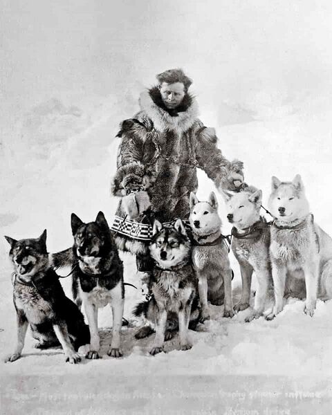 File:Leonhard Seppala with dogs.jpg