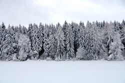 New snow, Swabian Alps (2019).jpg