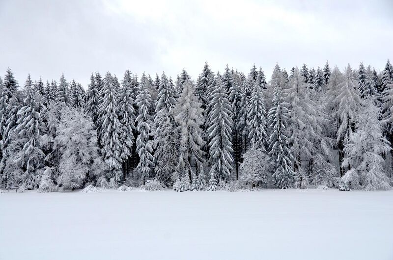 File:New snow, Swabian Alps (2019).jpg