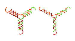 Nupack secondary structure helices.png