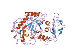 PDB 1smd EBI.jpg