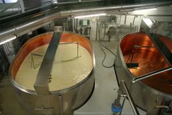 Production of cheese 1.jpg