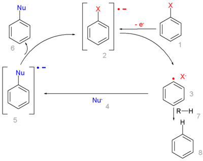 Radical-nucleophilic aromatic substitution mechanism