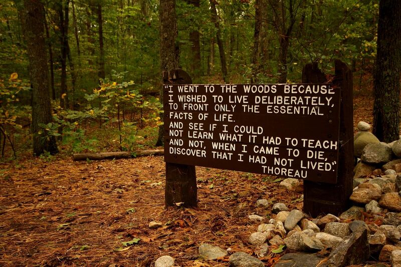 File:Thoreaus quote near his cabin site, Walden Pond.jpg