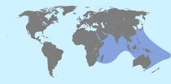 Toxopneustes pileolus distribution range.jpg