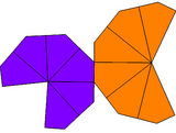 Unequal hexagonal trapezohedron net.png