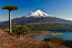 Volcán Llaima y Laguna Conguillío, desde Sierra Nevada.jpg