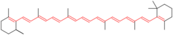 Beta-Carotene conjugation.svg