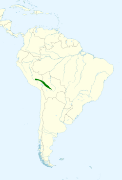Coeligena inca map.svg